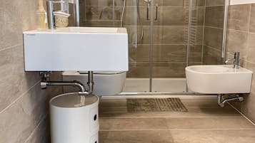 Shower, hair dryer, bidet, towels