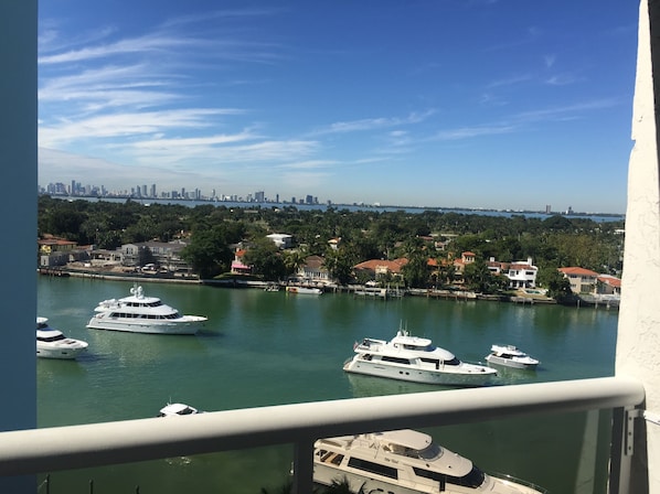 A marina with several yachts docked, a city skyline in the background, and a view of residential buildings and greenery.