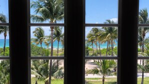 A view through a window with multiple panes, displaying a beach with palm trees and the ocean. - Cardozo Hotel South Beach (Miami Beach)