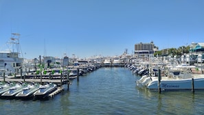 Boats docked along a serene waterway, surrounded by a hotel and buildings.