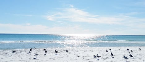 Una playa con arena y cielo despejado.
