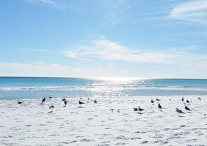A beach with sand and a clear sky. - Serene #202 Chateau La Mer II 1Bd-1Bath Ground Floor 2 Queen Beds &Sofabed (Destin)