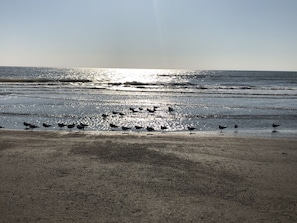 On the beach, beach towels