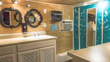 Shower, hair dryer, toilet paper