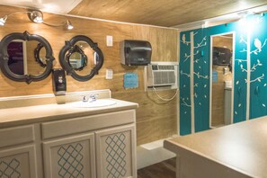 Shower, hair dryer, toilet paper