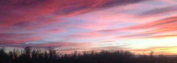 A sunset with a colorful sky and silhouettes of trees.