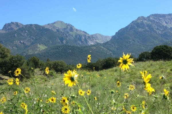 Crestone Peak