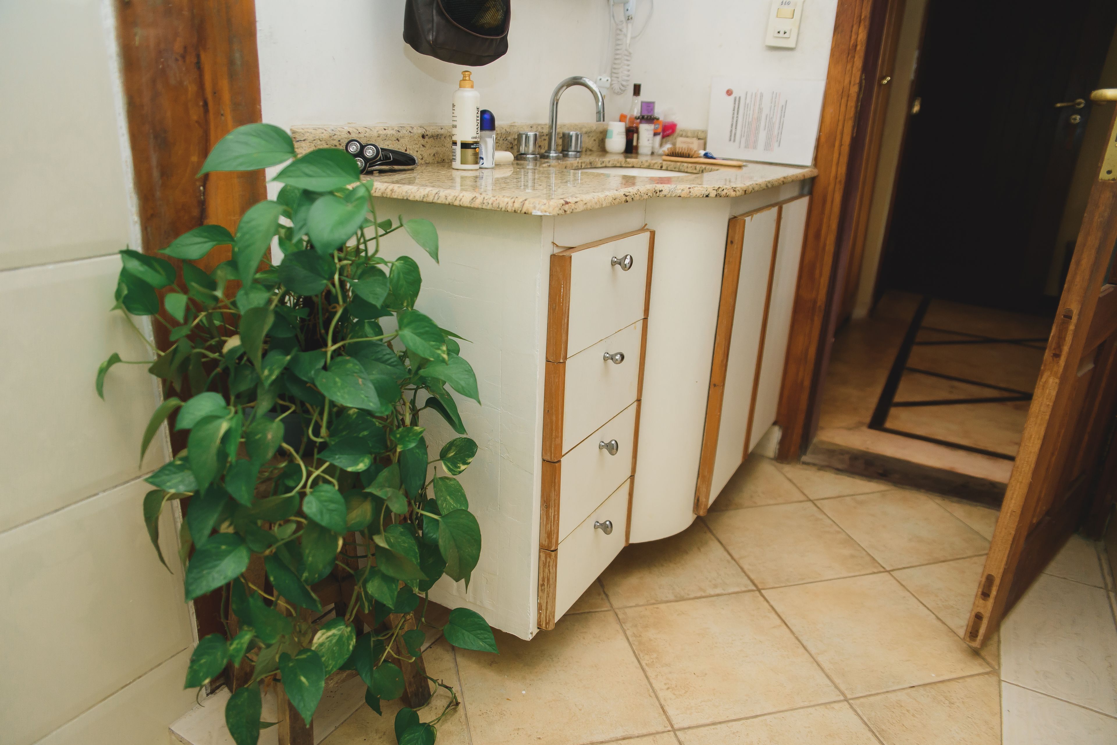 A kitchen with a sink, cabinets, and a potted plant.