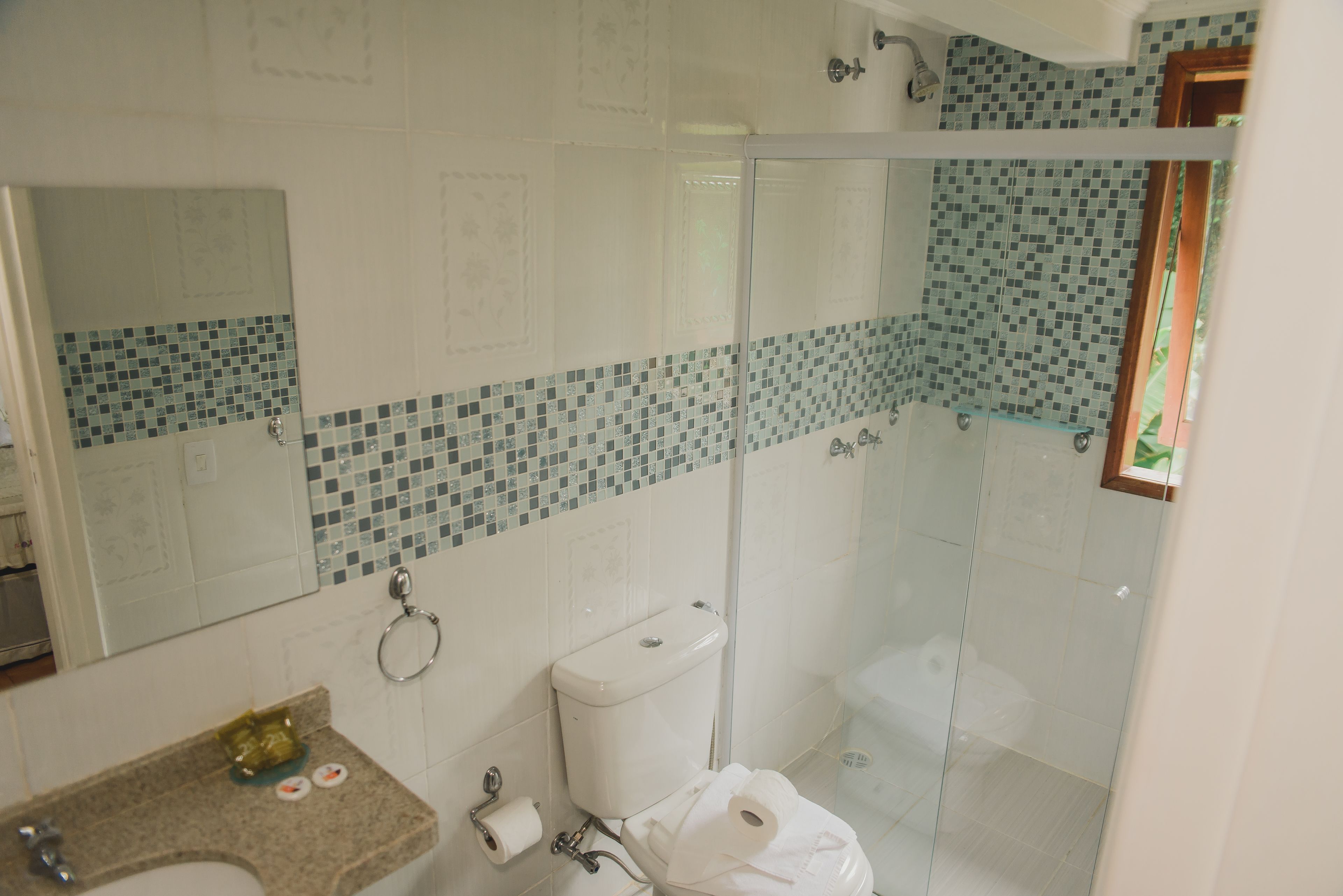 A bathroom with a glass-enclosed shower, a toilet, and a sink with a mirror above it.