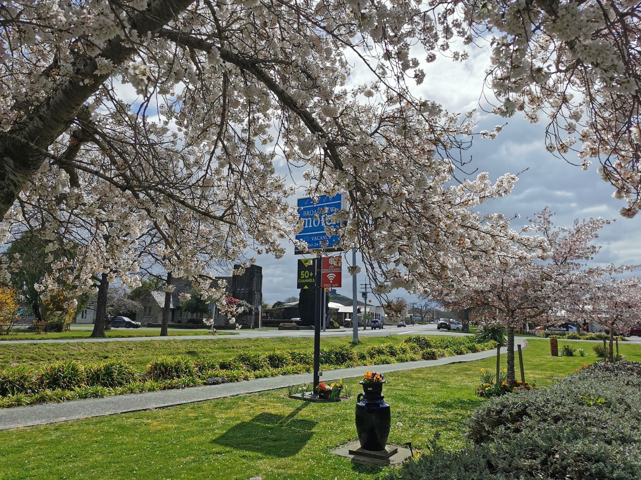 A park with cherry blossoms, a sign for Broadview Mall, and a 50+ channels sign.