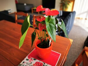 Una mesa de comedor de madera con una maceta roja y un mantel individual floral.