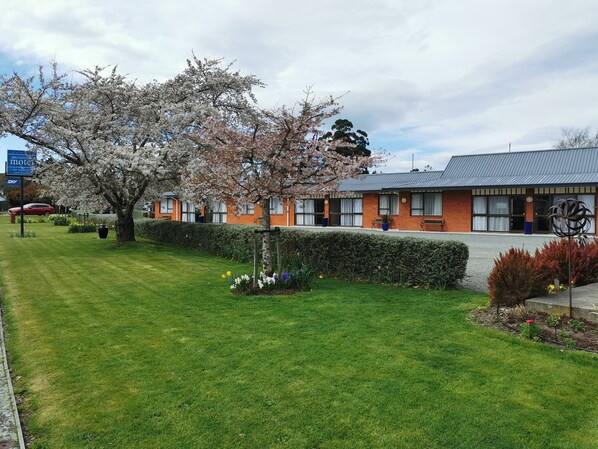 A building with a brick facade, a large tree with white blossoms, and a well-maintained lawn.