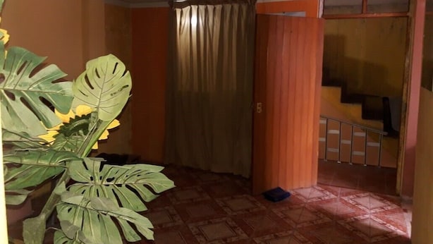 A room with a tiled floor, a curtain, a staircase, and a large plant. - Third floor apartment (Ayacucho)