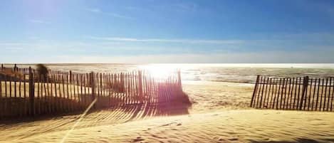 Une plage de sable avec une clôture en bois et un ciel dégagé.
