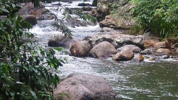 A river flowing through a rocky landscape with dense foliage.
