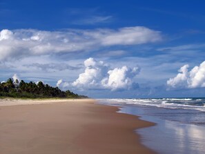 On the beach, sun-loungers - Family house on the sand, green area, Acuípe beach, natural pool (Ilhéus)