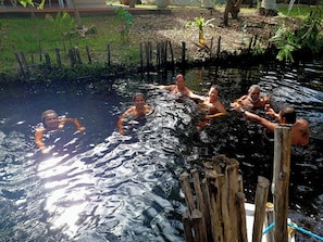 Een groep mensen in een natuurzwembad, omringd door houten palen en begroeiing.