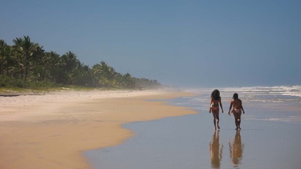 Een strand met twee mensen die langs de kust wandelen, palmbomen op de achtergrond en een heldere lucht.