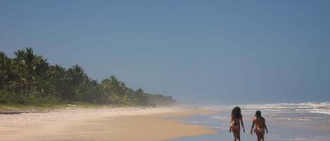 Plage, chaises longues