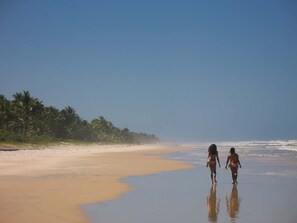 Uma praia com duas pessoas caminhando pela orla, palmeiras ao fundo e céu claro.