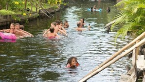 Um grupo de pessoas nadando em uma massa de água natural cercada por vegetação.