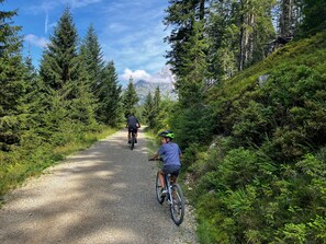 Niet-geclassificeerde afbeelding, 4 van 51, knop