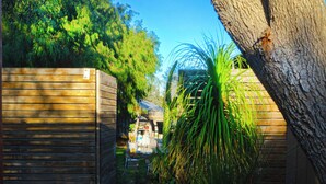 A wooden pathway leading to a house with a garage, surrounded by lush greenery and a large tree.