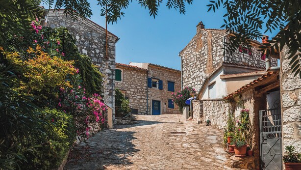 A narrow cobblestone street flanked by stone buildings with balconies and potted plants. - Holiday apartment with garden and terrace (Rovinj)
