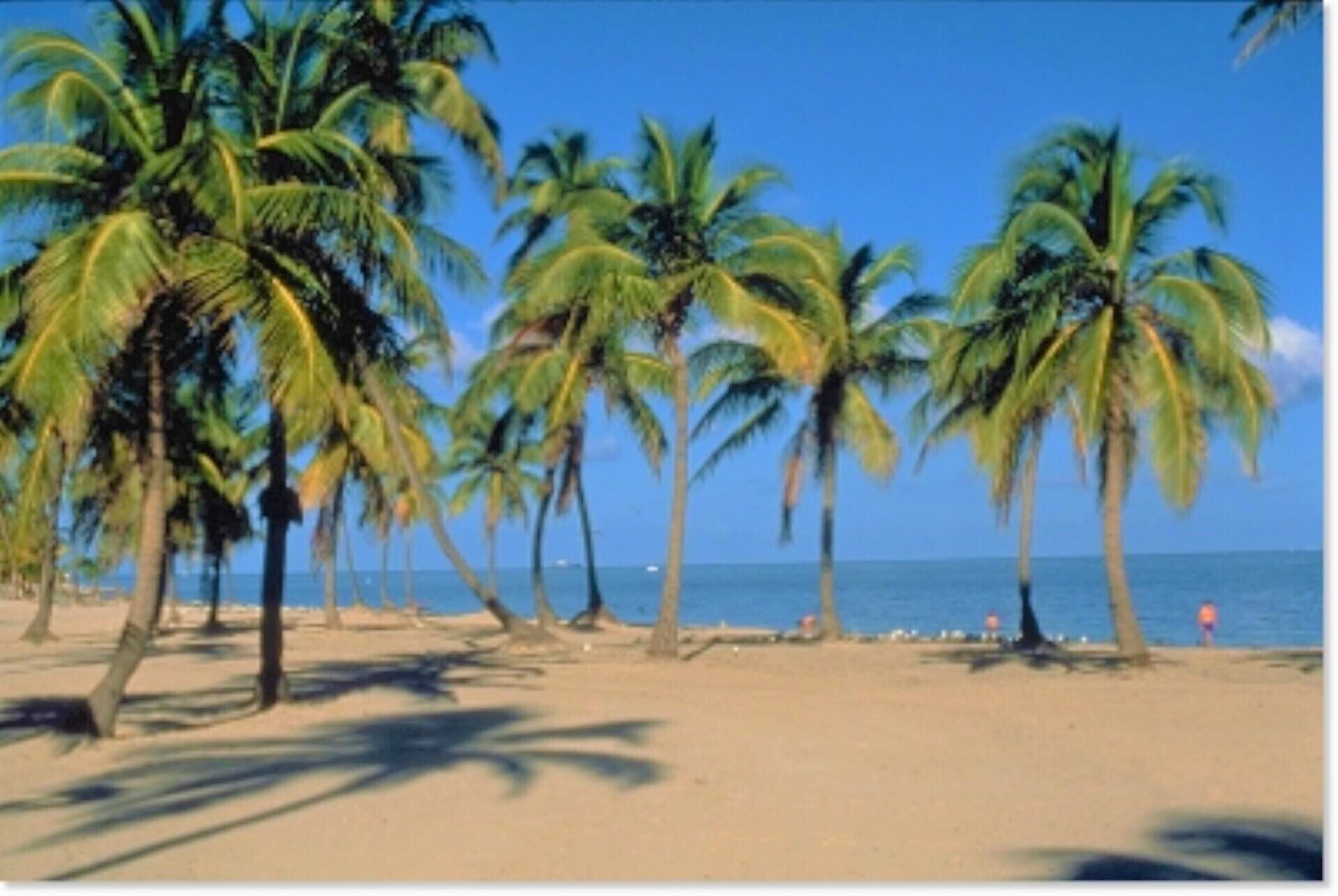 Close to the Ocean Two Bedroom with Pool -