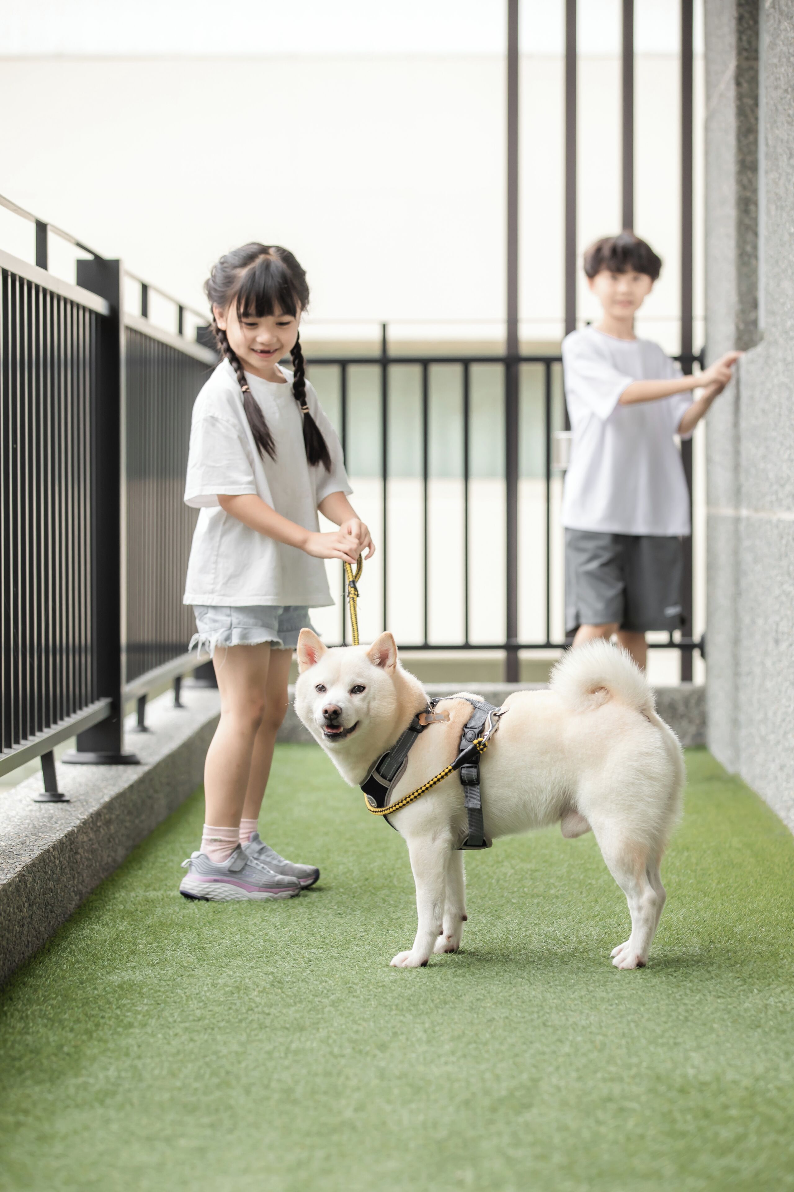 A person walking a dog on a balcony with a railing and a green artificial turf floor.