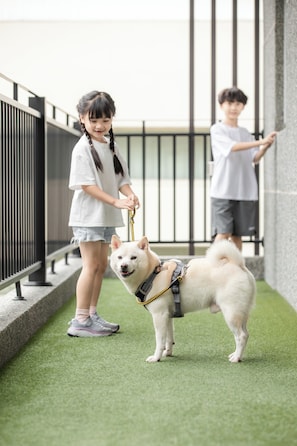 외관