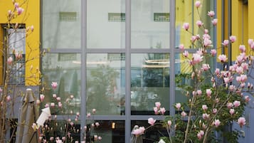 Un edificio amarillo con amplias ventanas, una silla roja y una planta en maceta con flores rosadas.