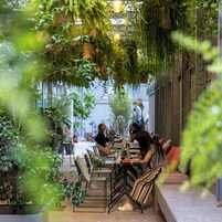 Servizio di pranzo, cena e brunch