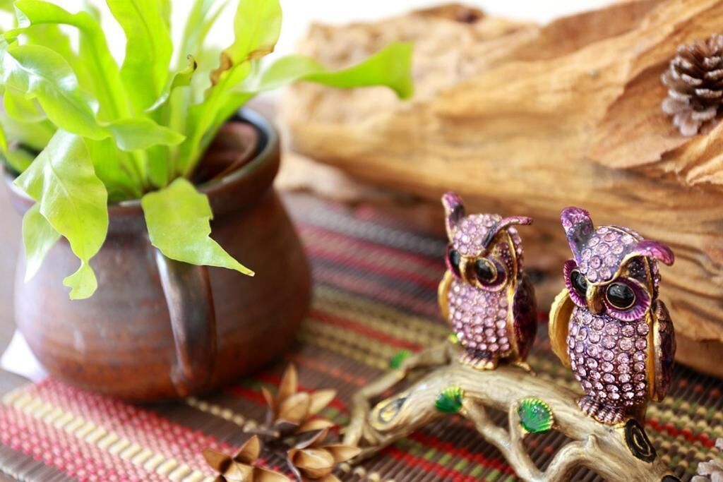 Ambiente rústico com uma planta em vaso, duas figuras de coruja e um ramo de madeira.