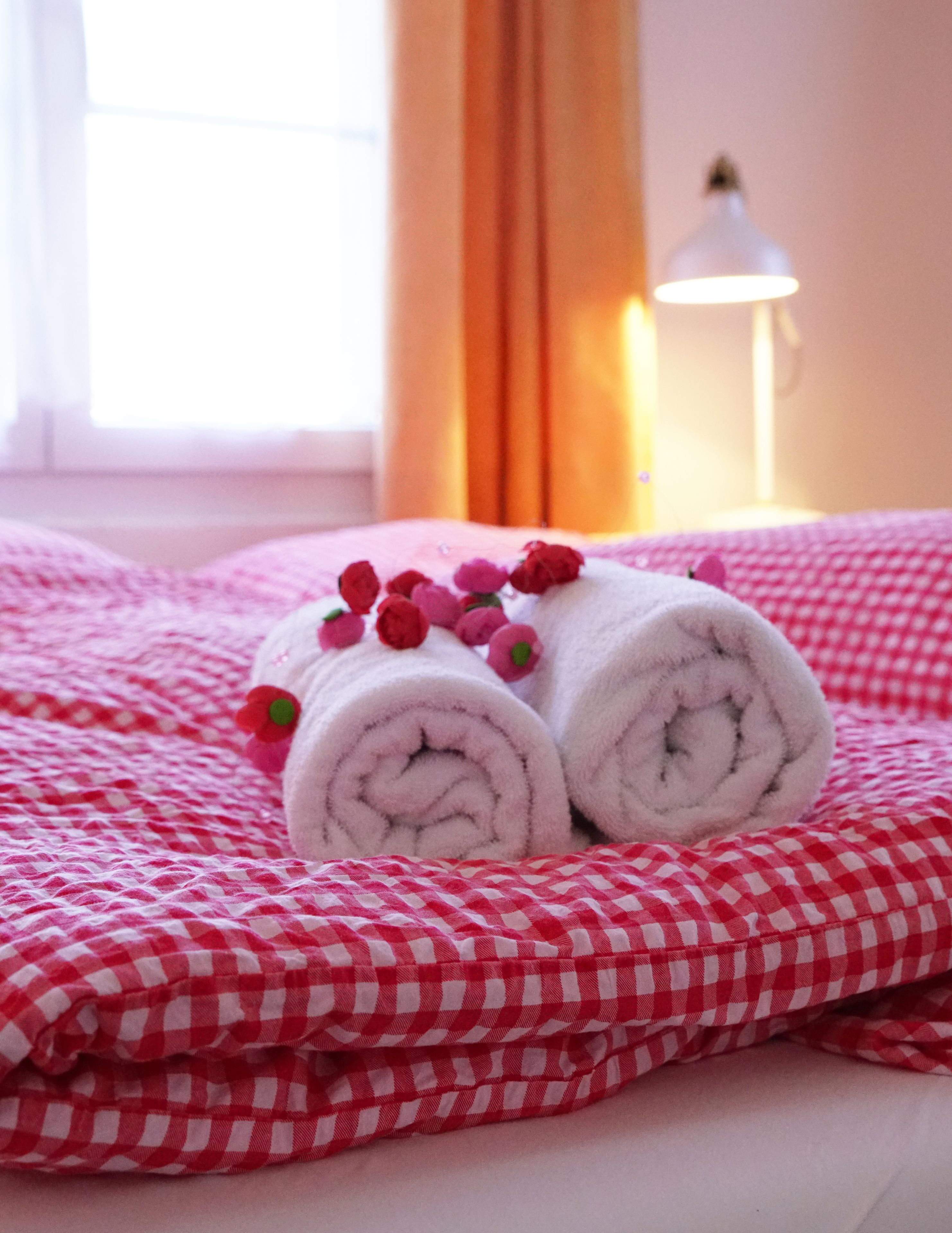 panoramic double room, mountain view | room amenity