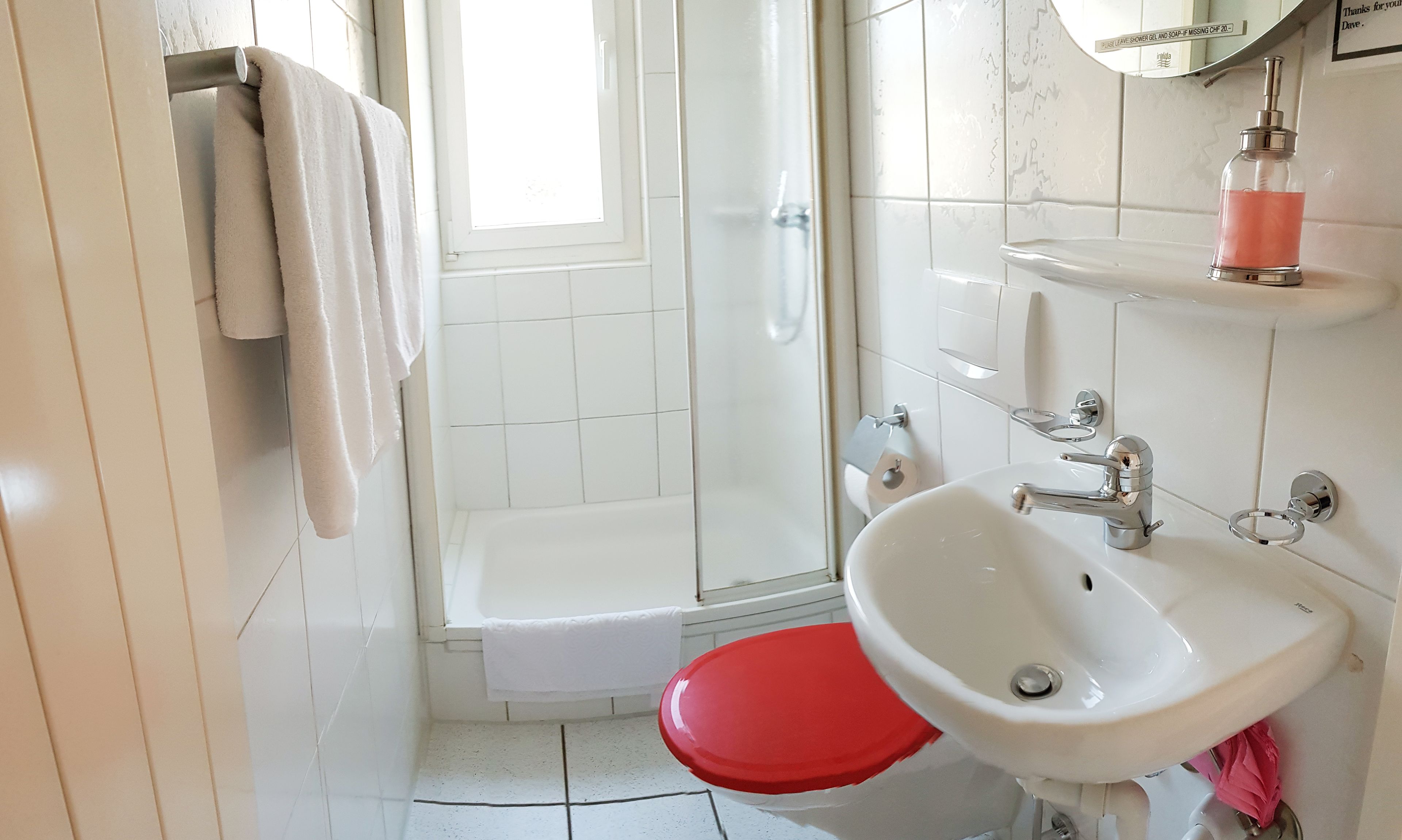 basic double room | bathroom | shower, hair dryer, towels, soap