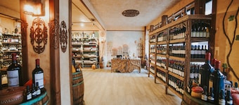 Hotel Wine Palace
