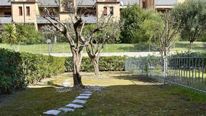 A residential area with a paved pathway, a tree, and a fence. - S044 - Sirolo, delightful three-room apartment with garden (Sirolo)