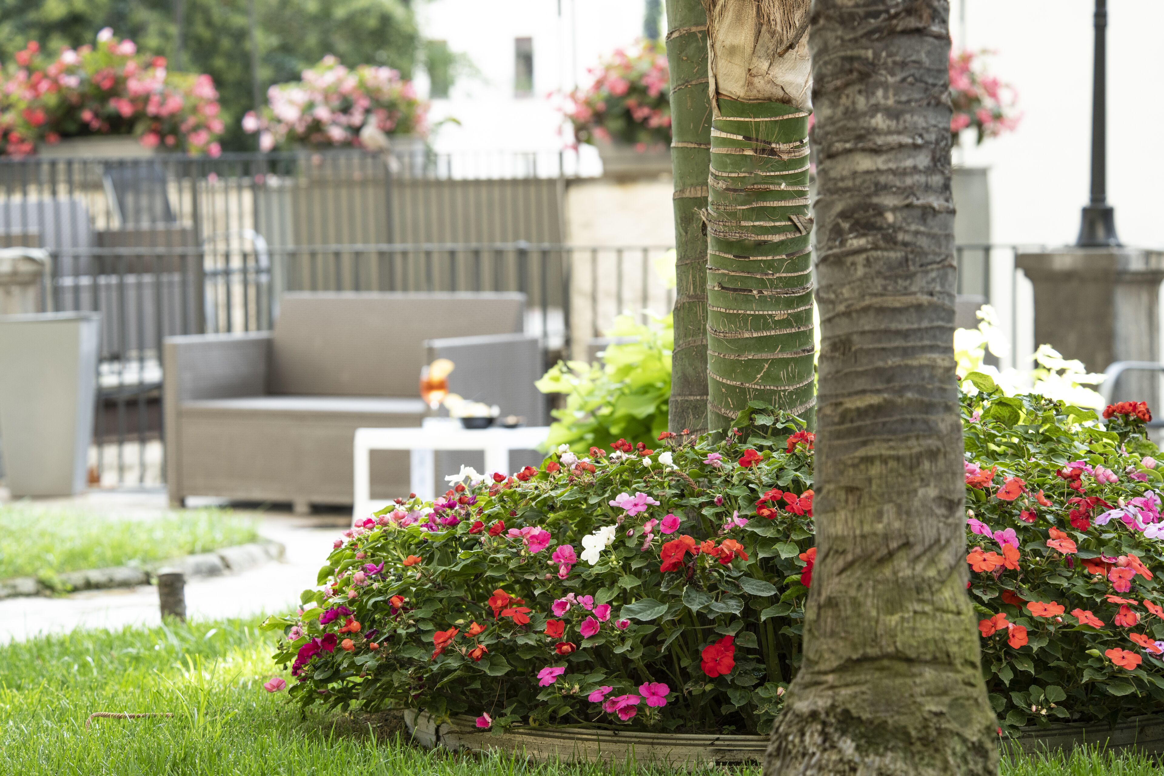 A garden with a palm tree, a bench, and a table with flowers.