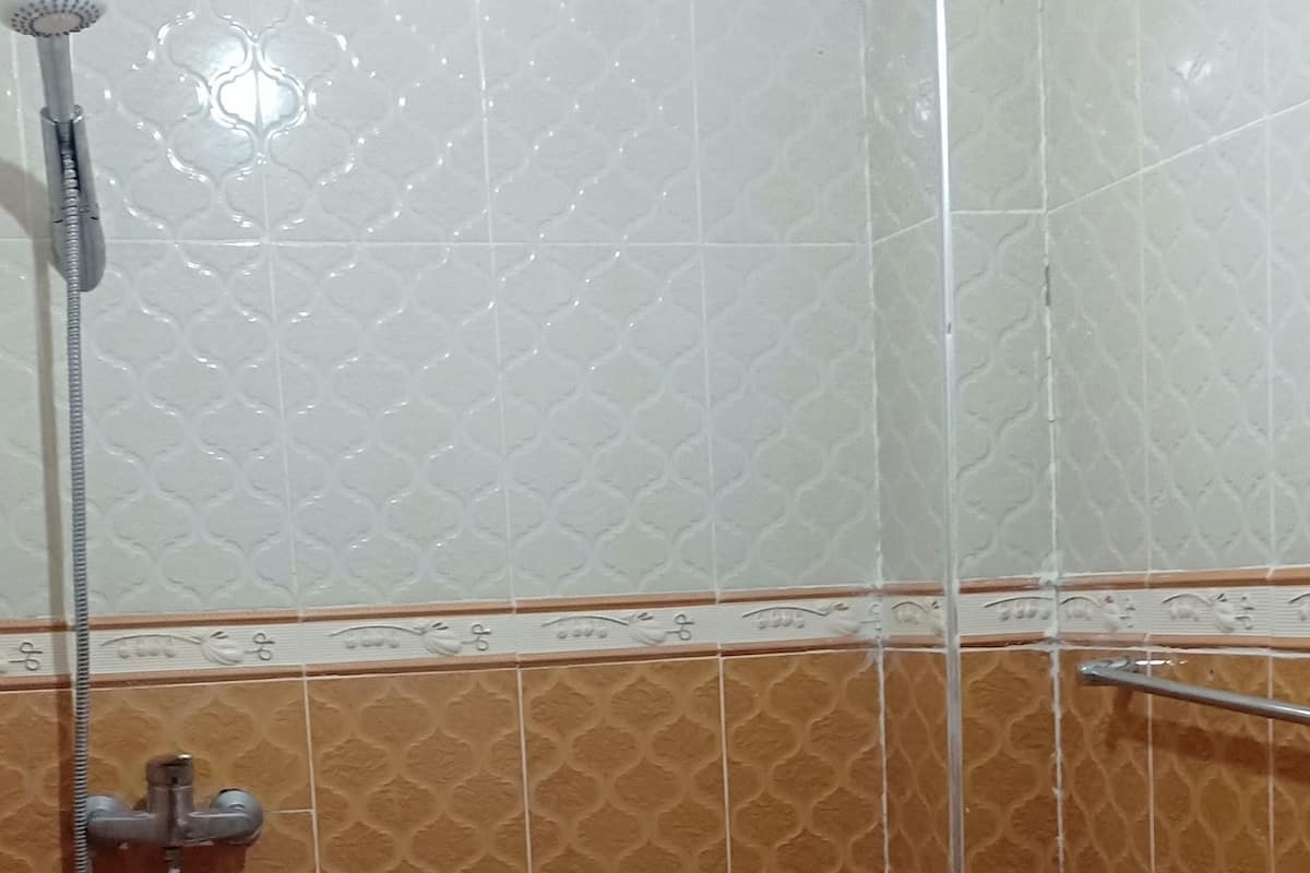Ducha, cabezal de ducha tipo lluvia, toallas, papel higiénico