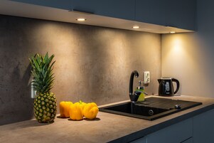 Apartment, 1 Double Bed with Sofa bed, River View | Hypo-allergenic bedding, individually decorated, individually furnished