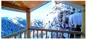 Terrace/patio - Star View Cottage (Shimla)