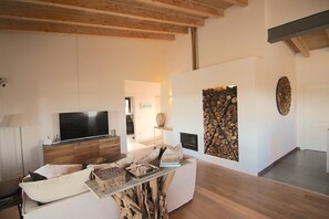TV connectée, cheminée, livres, imprimantes