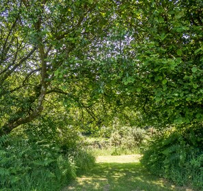 Garden - Mena Farm: Touring, Camping, Glamping (Bodmin)