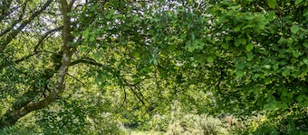 Mena Farm: Touring, Camping, Glamping