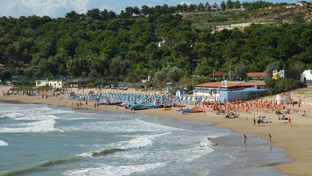 Uma praia com guarda-sóis, cadeiras de praia e pessoas.