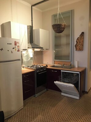 A compact kitchen with a refrigerator, stove, sink, and dishwasher. - Luxury and Comfortable Apartment (Istanbul)