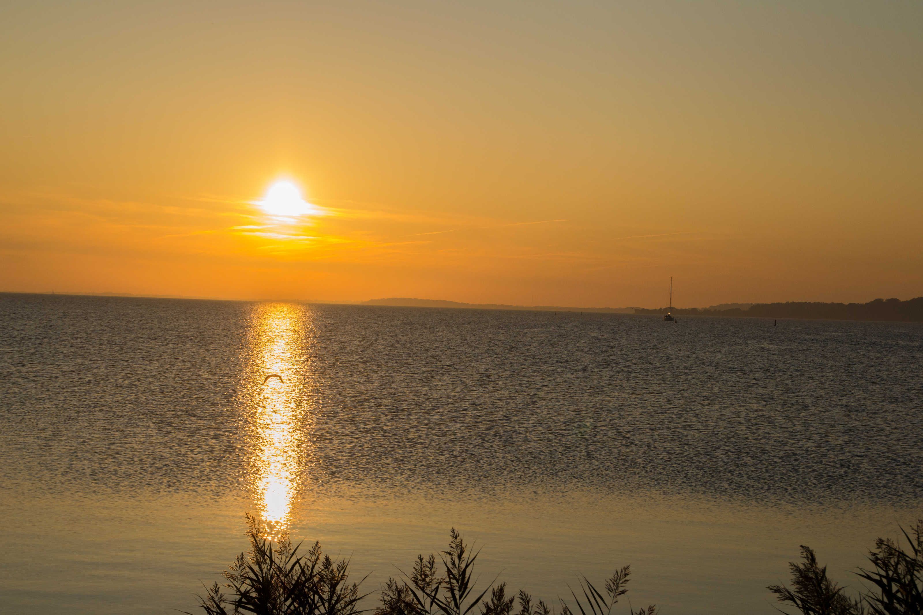Auringonlasku tyynen meren yllä, kauempana näkyy purjevene.