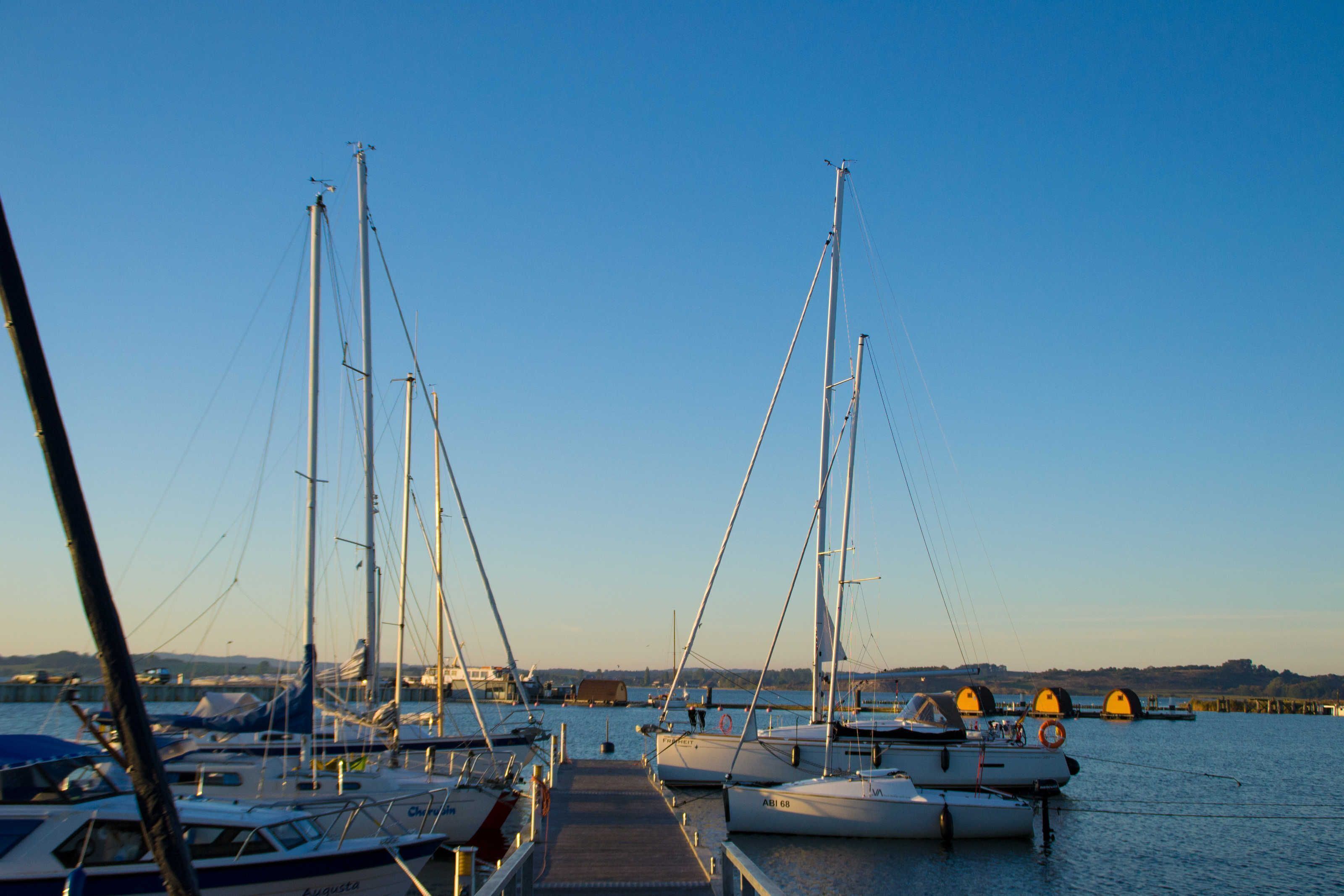 Ein Yachthafen mit mehreren Segelbooten, die an der Pier festgemacht sind.