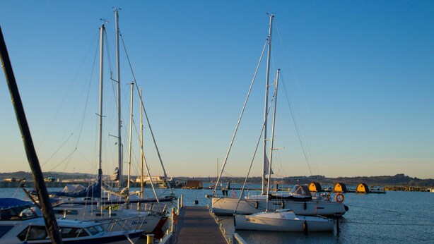 Un puerto deportivo con varios veleros amarrados al muelle.